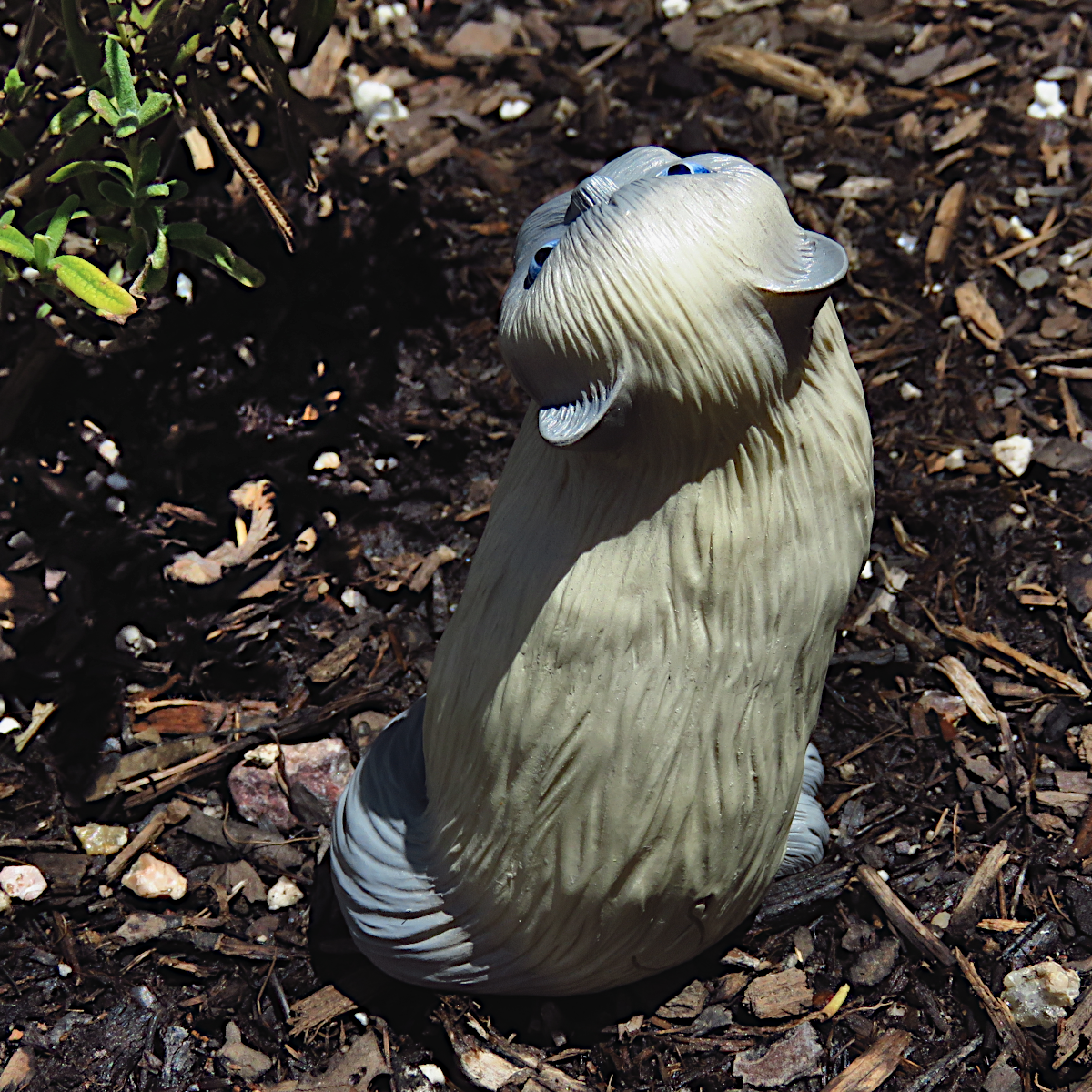 "Humble Himalayan"—handmade Persian cat figurine