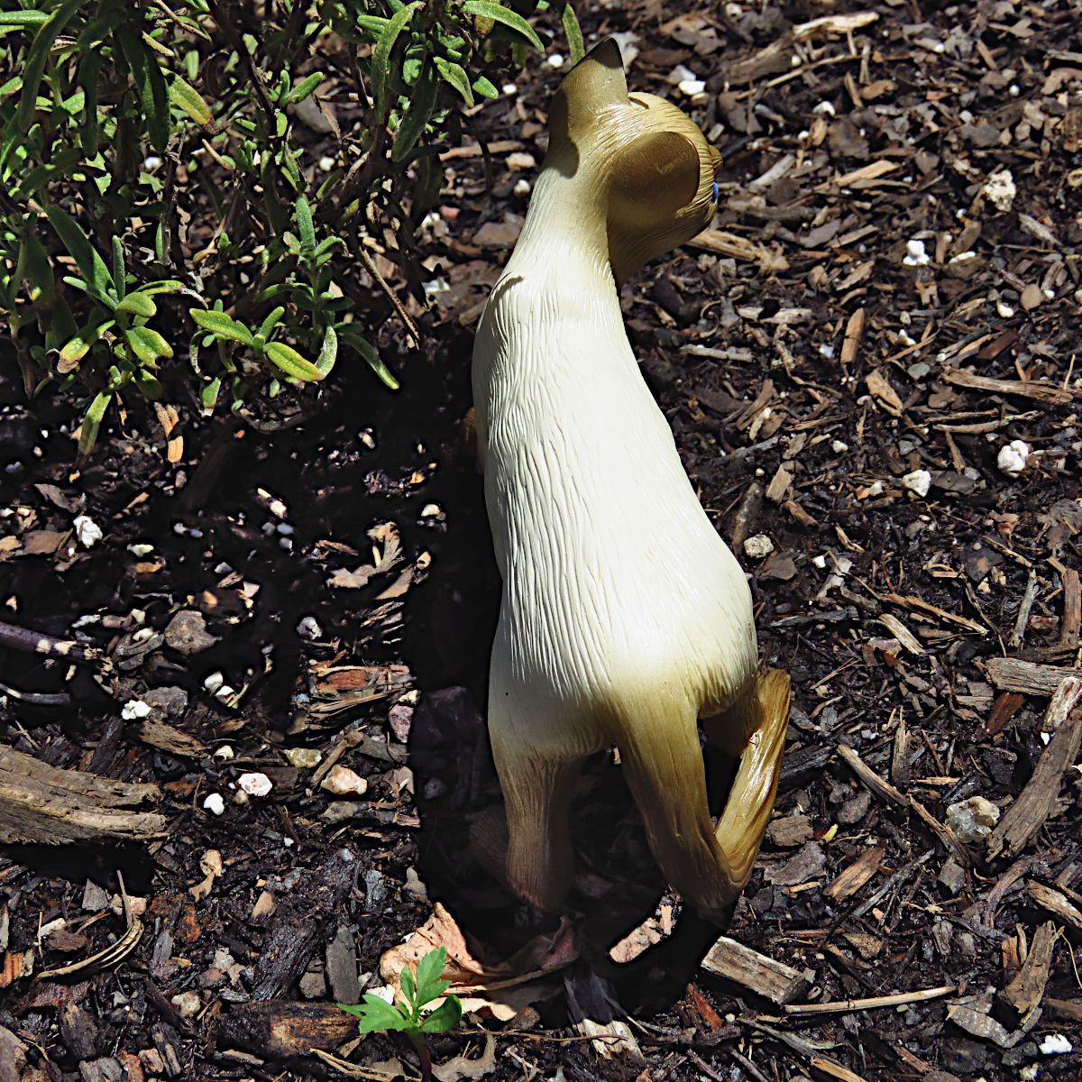 "Simple Siamese"—a handmade resin cat figurine